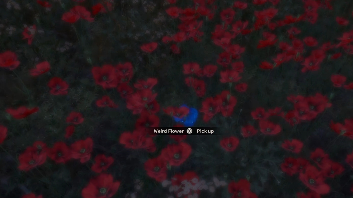 O que a flor estranha faz no Stalker 2?