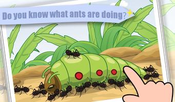 Ant