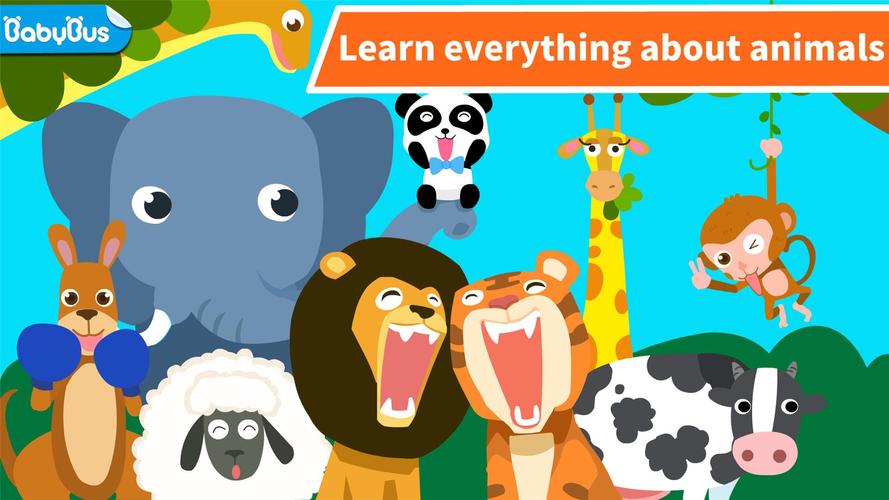 Animal Paradise