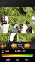 Puzzle Dogs