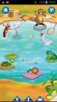 Animal Pond