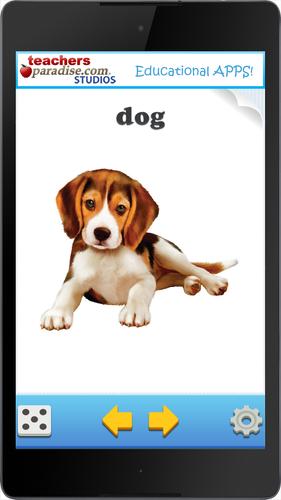 Animal Names Flashcards