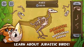 Jurassic Birds: Fossils