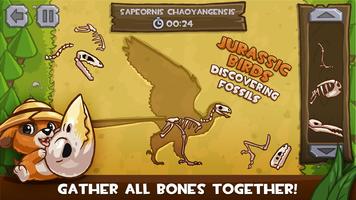 Jurassic Birds: Fossils