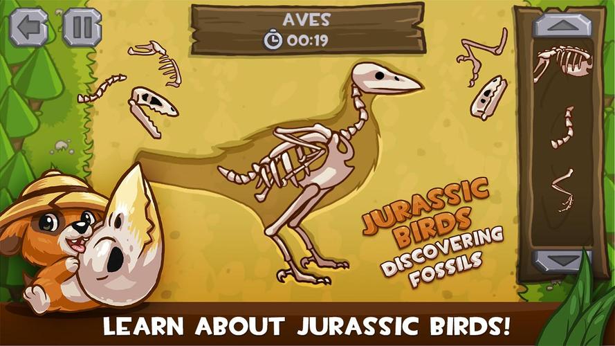 Jurassic Birds: Fossils