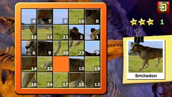 Kids Dinosaur Rex Slide Puzzle