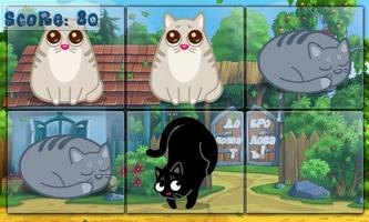 Catland