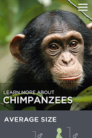 apeAPP