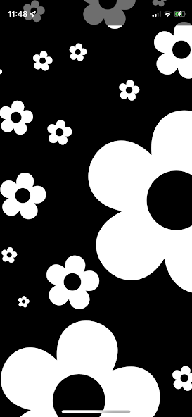 Baby Sensory: High Contrast