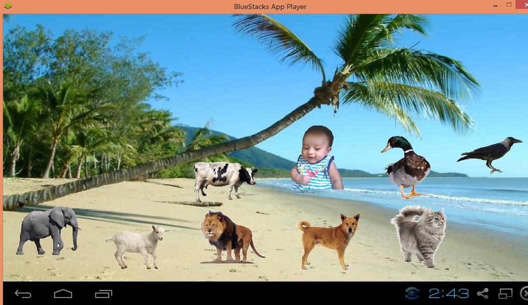 Baby Fun Touch