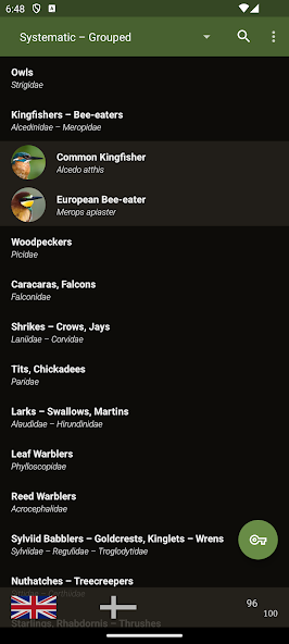 Little Bird Guide: Aves Europe