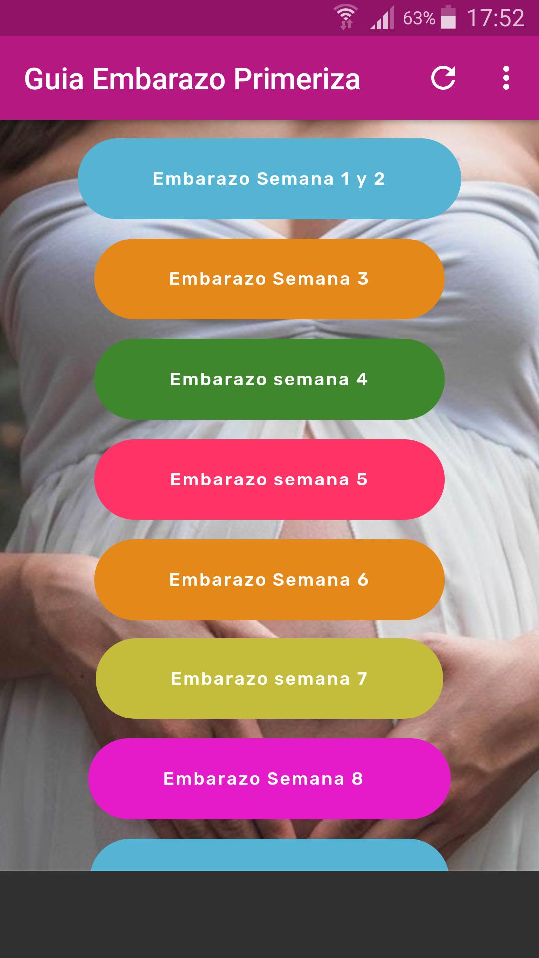 Guia de Embarazo