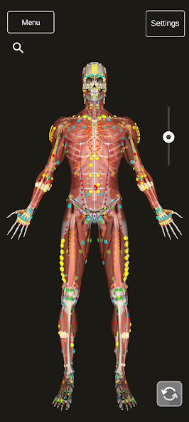 3D Counterstrain