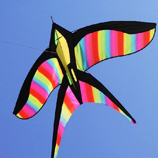 Kite festival