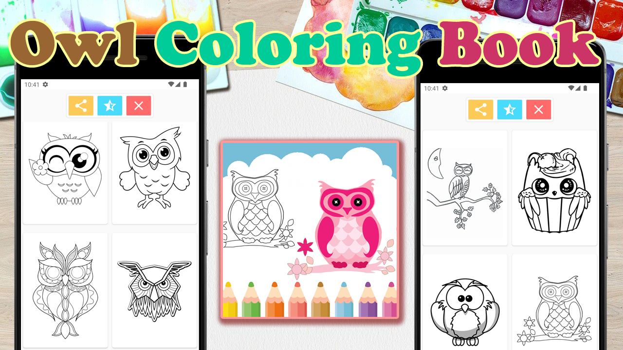 Owl Coloring Book