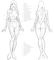 Tutorial drawing hot body