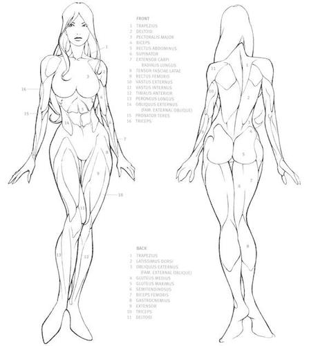 Tutorial drawing hot body