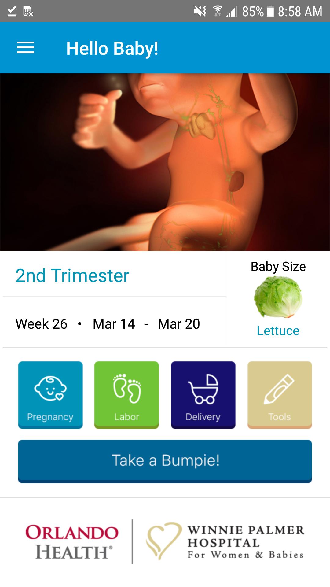 Winnie Palmer Hello Baby!