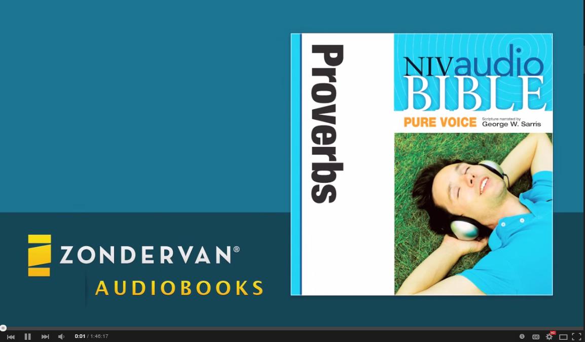 Audio Bible (NIV)