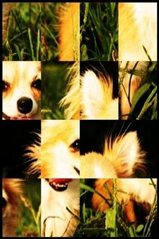 Cute dog Puzzle free1