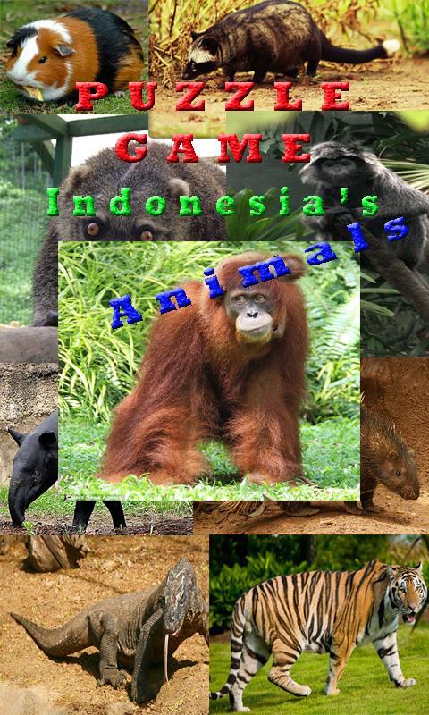 PUZZLE HEWAN ASLI INDONESIA