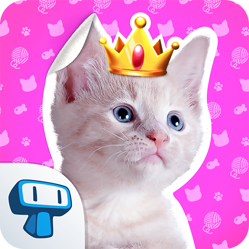My Cat Album