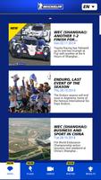 Michelin Motorsport