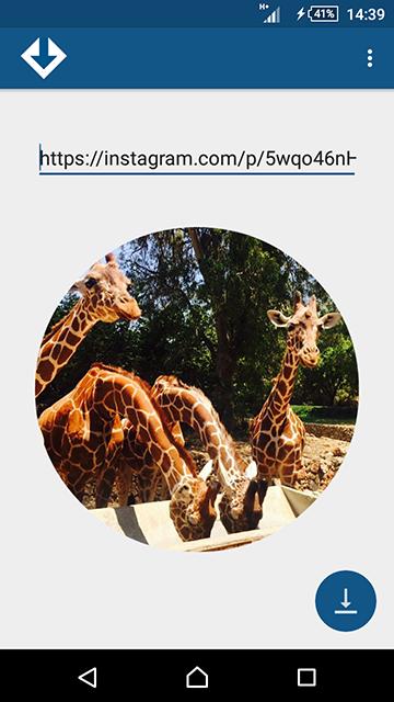 Mighty Instagram downloader