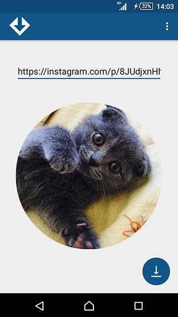 Mighty Instagram downloader