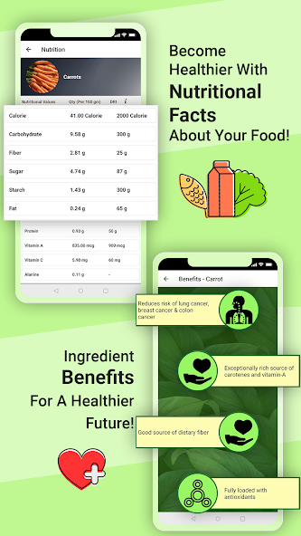 Legumes & Beans Recipes, Salad