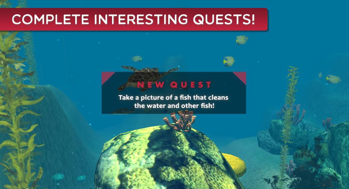 Hello Ocean
