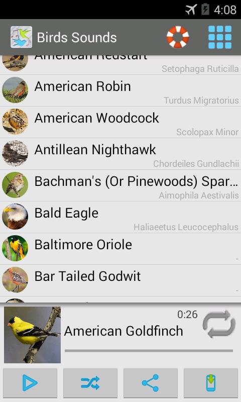 Birds Sounds 200+