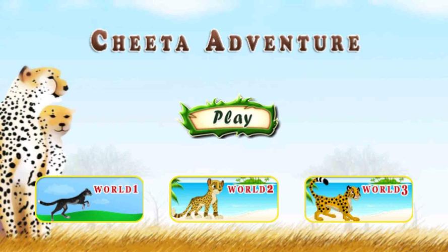 Cheetah Adventure