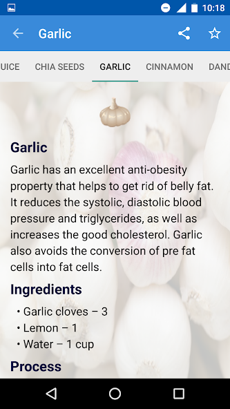Healthy Diet Foods