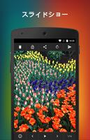 Photo Locker(Japanese Version)