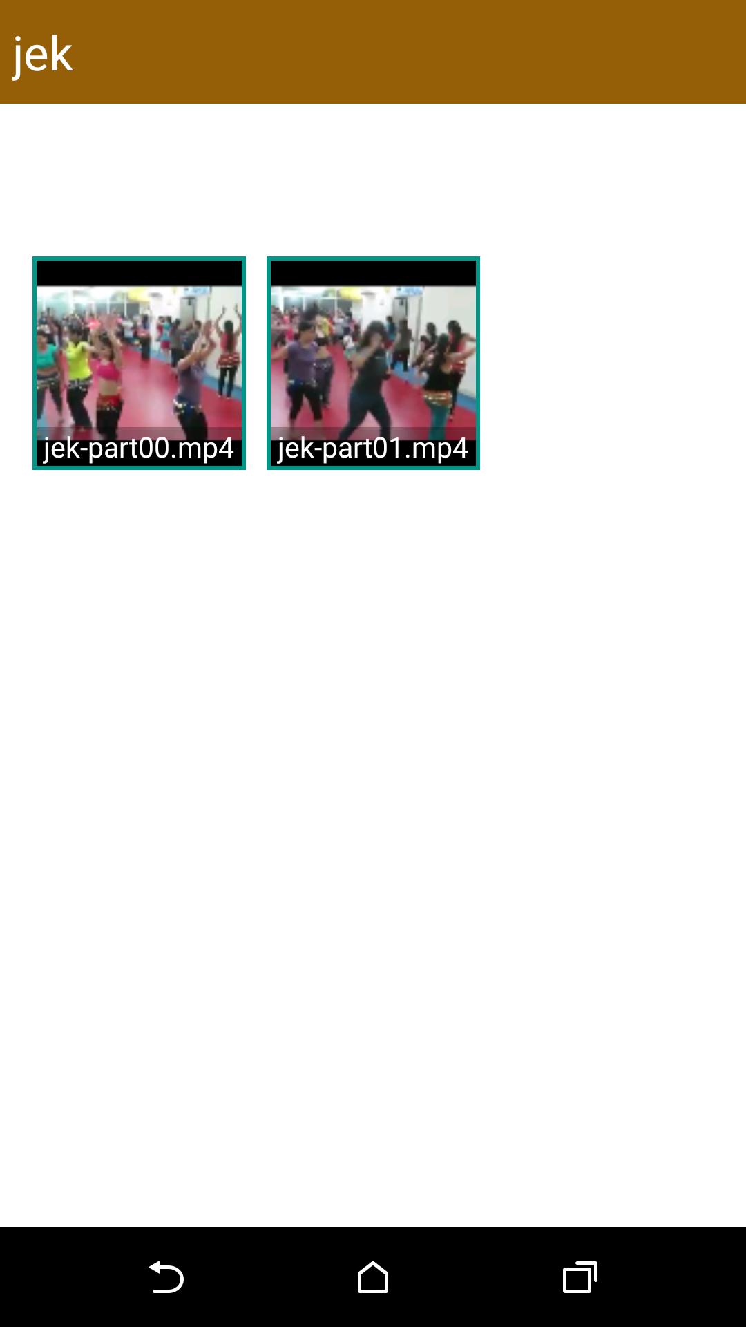 Split any Large Video