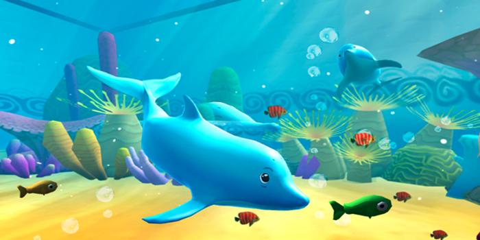 The Dolphin Aquarium Show