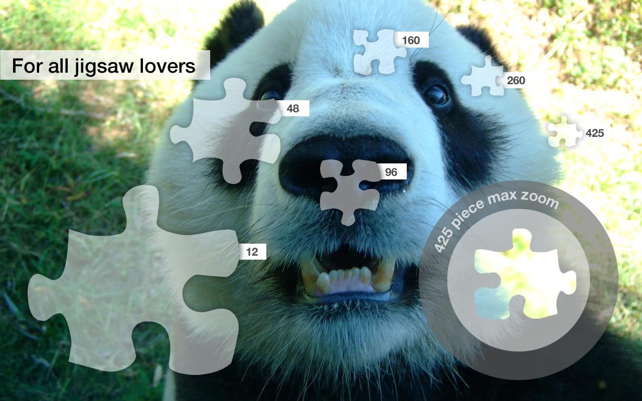 Jigsaw Puzzles: Pandas