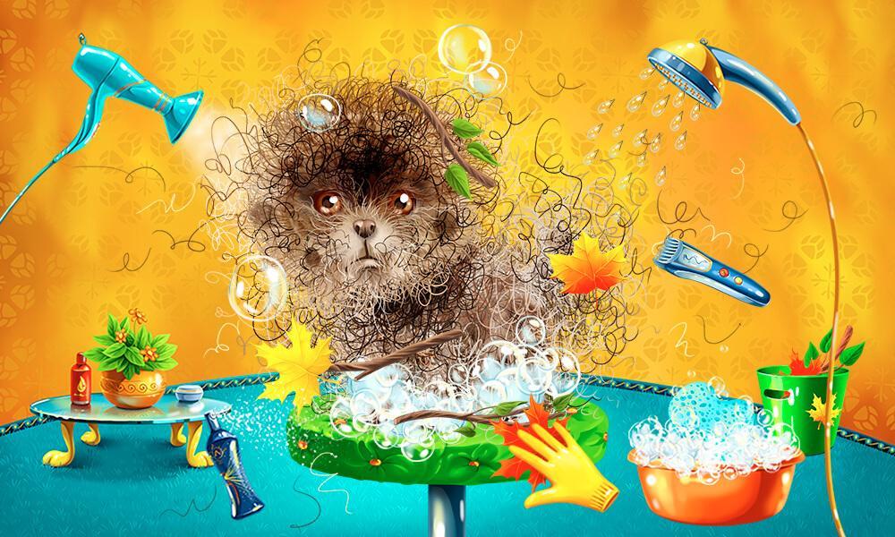 Animals washing for kids