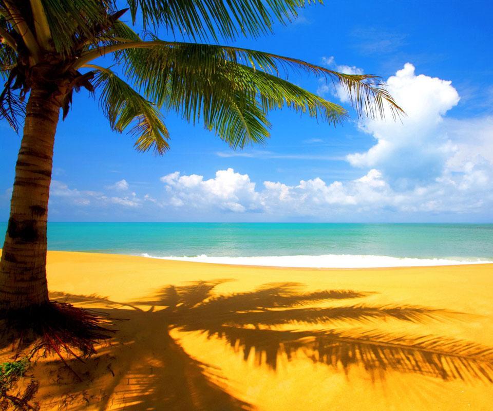 Seascape Tangram Games