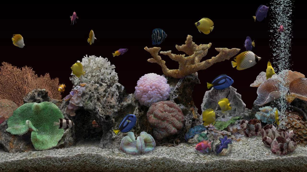 Marine Aquarium 3.3