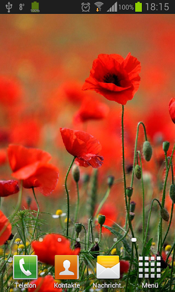 Poppies live wallpaper