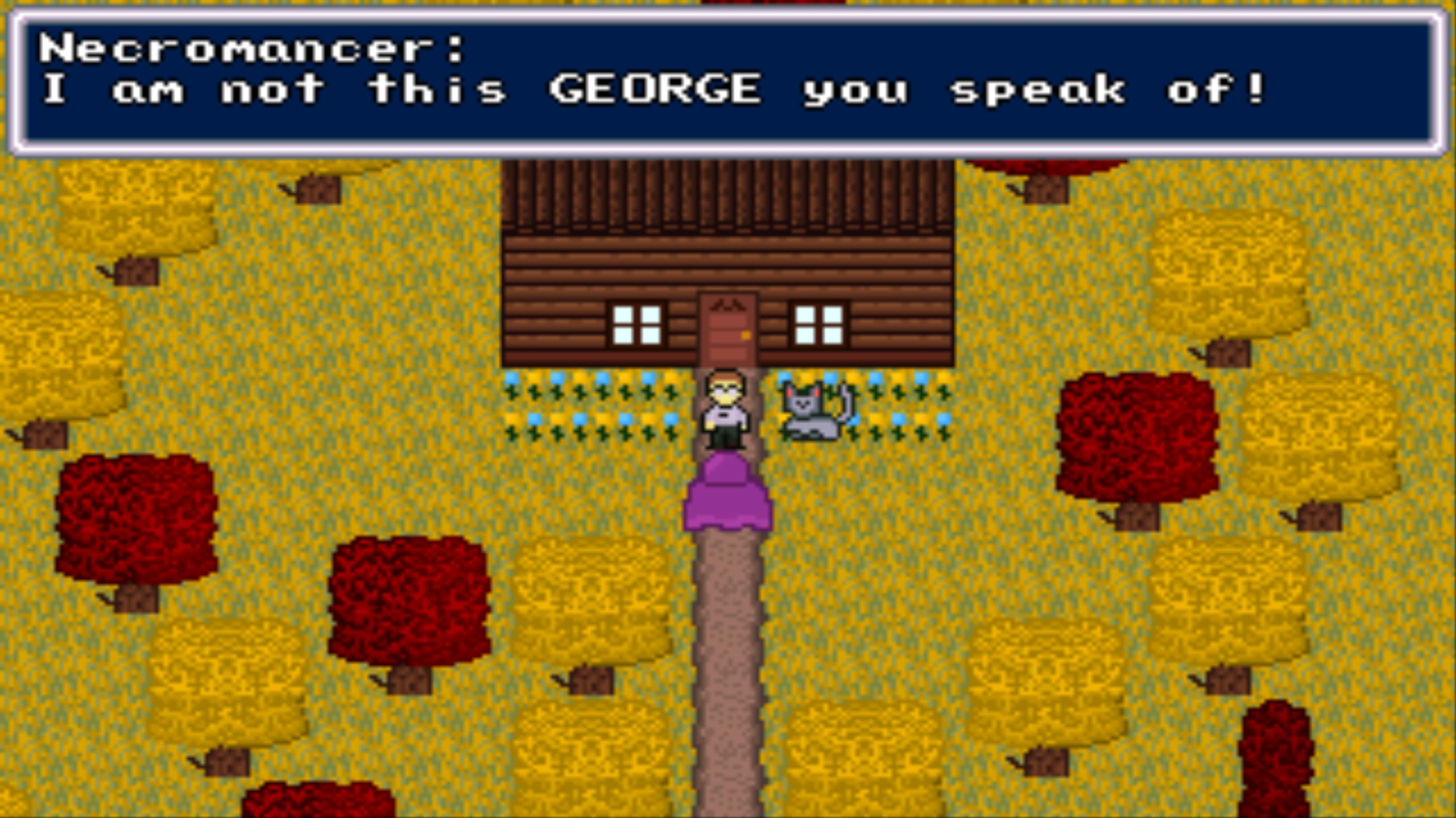 Necromancer Ate My Cat