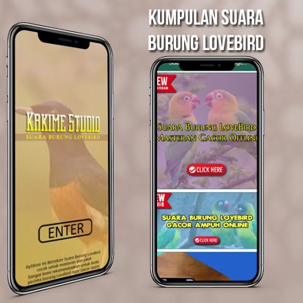 Suara Burung Lovebird Ngekek