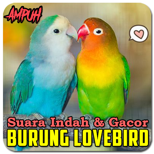 Suara Burung Lovebird Ngekek