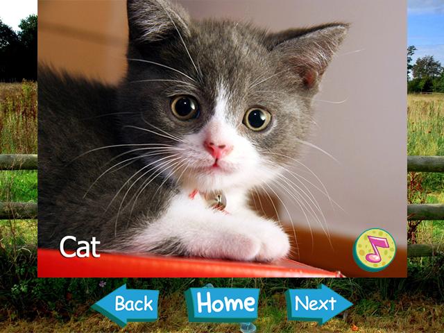 Animal Sounds & Pictures Kids