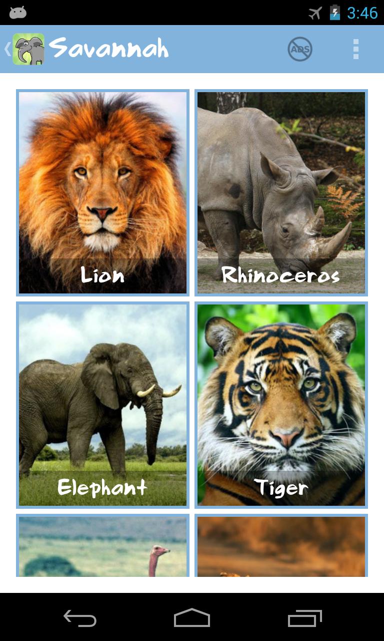 Animal Family Sounds