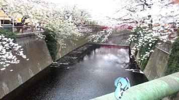 Camera Landscape Miku Hachune