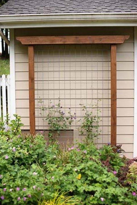 Trellis Timber Innovative Desi
