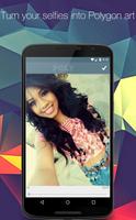 PolyPic: Polygon photo effect